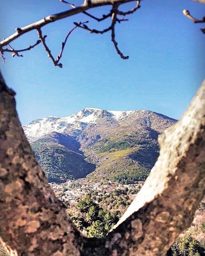 Auberge Casa Mathea Poggio-di-Venaco المظهر الخارجي الصورة
